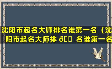 沈阳市起名大师排名谁第一名（沈阳市起名大师排 🐠 名谁第一名啊）